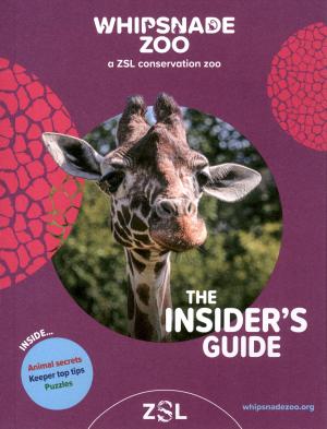 Guide 2025