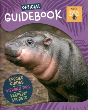 Guide 2025
