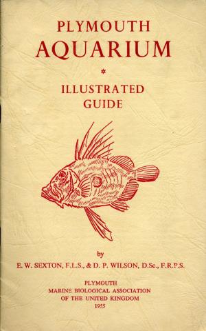 Guide 1955
