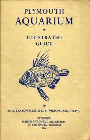 Guide 1966
