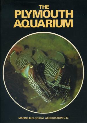 Guide 1983