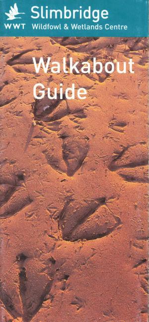 Guide 2001