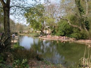 Un des plans d'eau abritant une colonie de flamants du Chili