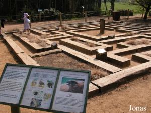 Labyrinthe pédagogique