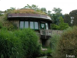 Maison intérieure des ours à lunettes