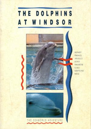 Guide 1991