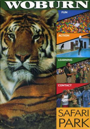 Guide 1995 (20th edition)