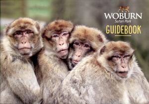 Guide 2024
