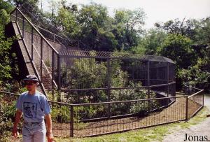 Enclos des panthères des neiges