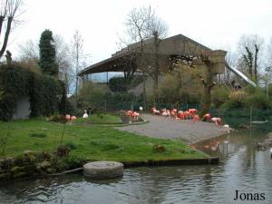 Enclos des flamants et Otarium en arrière-plan