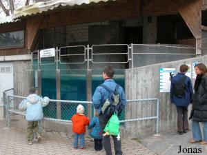 Bassin secondaire des animaux marins