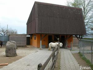 Enclos des poneys