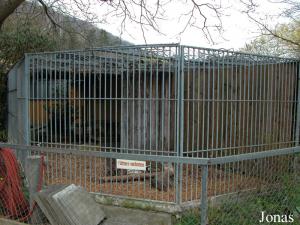 Enclos du tigre