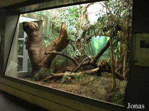 Zone de l'Exotarium consacrée à la faune sud-américaine