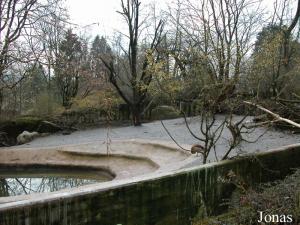 Enclos des hippopotames nains, des ouettes et des marabouts