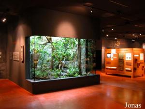 Salle pédagogique et vivarium