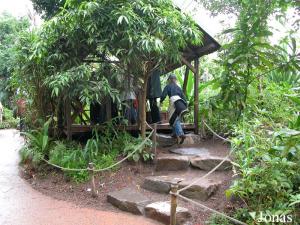 Cabanon en bois