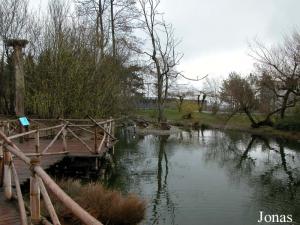 Enclos des oiseaux aquatiques