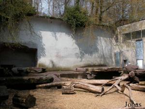 Ancienne installation des ours polaires